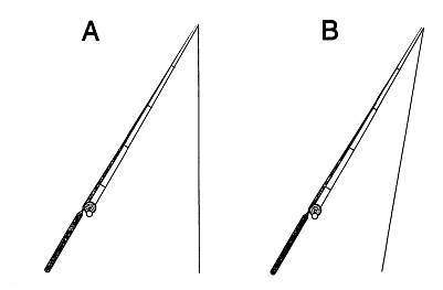 WTMA Sample Question