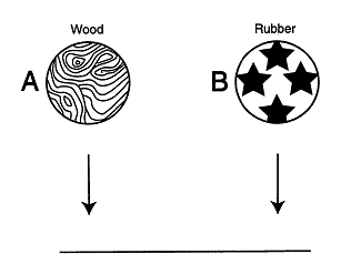 WTMA Sample Question