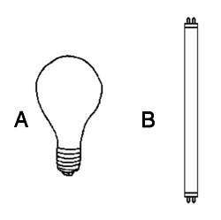 WTMA Sample Question